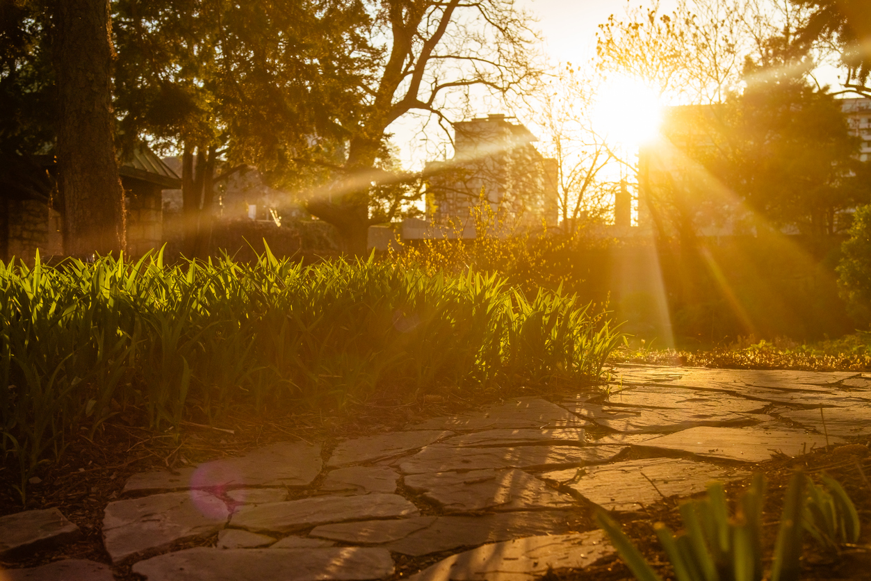 Soul Garden: Exploring the Mystics